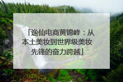 逸仙电商黄锦峰：从本土美妆到世界级美妆先锋的奋力跨越
