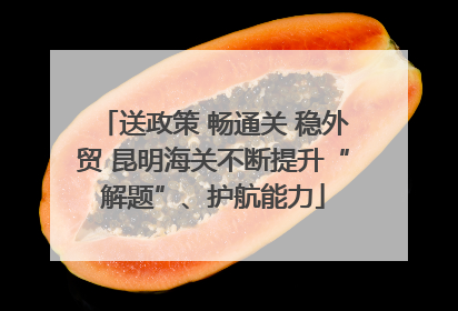 送政策 畅通关 稳外贸 昆明海关不断提升“解题”、护航能力