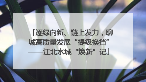 逐绿向新、链上发力，聊城高质量发展“提级换挡”——江北水城“焕新”记