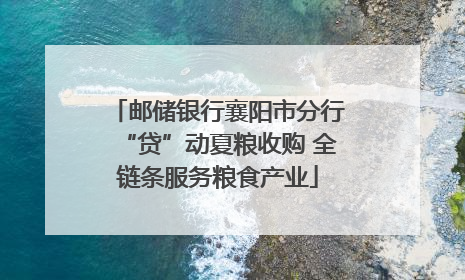 邮储银行襄阳市分行“贷”动夏粮收购 全链条服务粮食产业