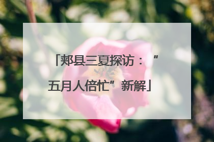 郏县三夏探访：“五月人倍忙”新解