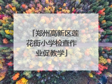 郑州高新区莲花街小学检查作业促教学