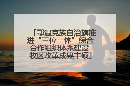 鄂温克族自治旗推进“三位一体”综合合作组织体系建设 牧区改革成果丰硕