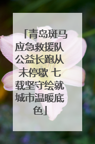 青岛斑马应急救援队公益长跑从未停歇 七载坚守绘就城市温暖底色