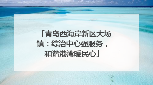 青岛西海岸新区大场镇：综治中心强服务，和谐港湾暖民心