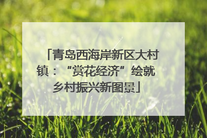 青岛西海岸新区大村镇：“赏花经济”绘就乡村振兴新图景