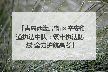 青岛西海岸新区辛安街道执法中队：筑牢执法防线 全力护航高考