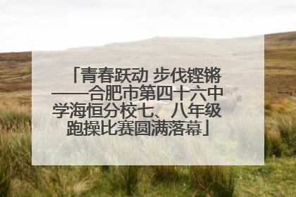 青春跃动 步伐铿锵——合肥市第四十六中学海恒分校七、八年级跑操比赛圆满落幕