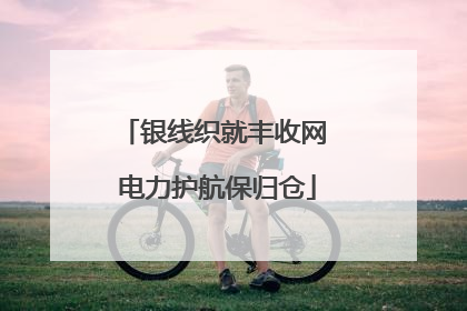 银线织就丰收网 电力护航保归仓