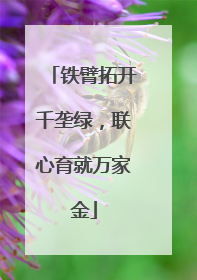 铁臂拓开千垄绿，联心育就万家金