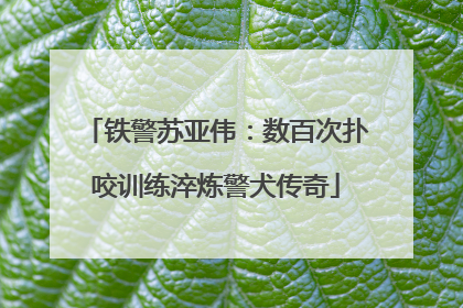 铁警苏亚伟：数百次扑咬训练淬炼警犬传奇