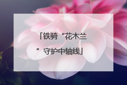 铁骑“花木兰”守护中轴线
