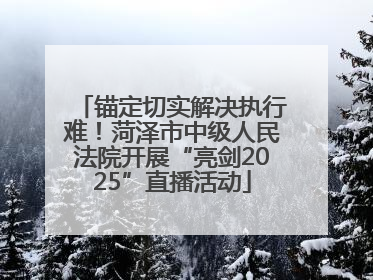锚定切实解决执行难！菏泽市中级人民法院开展“亮剑2025”直播活动