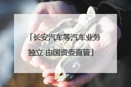 长安汽车等汽车业务独立 由国资委直管