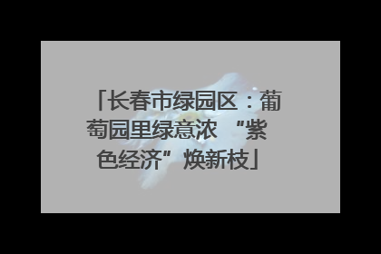 长春市绿园区：葡萄园里绿意浓 “紫色经济”焕新枝