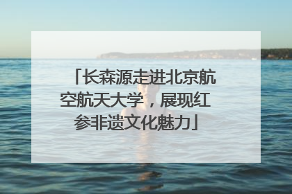 长森源走进北京航空航天大学，展现红参非遗文化魅力