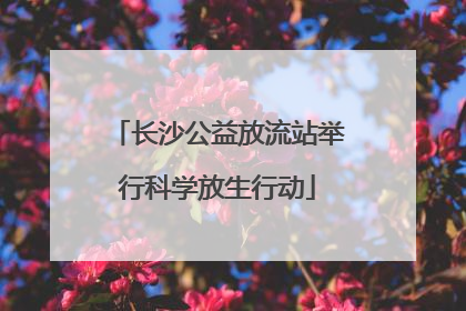 长沙公益放流站举行科学放生行动