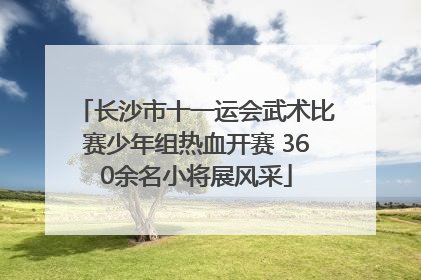 长沙市十一运会武术比赛少年组热血开赛 360余名小将展风采