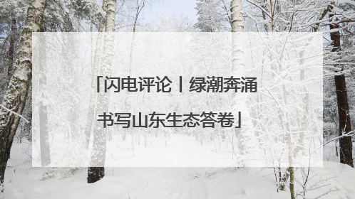 闪电评论丨绿潮奔涌 书写山东生态答卷