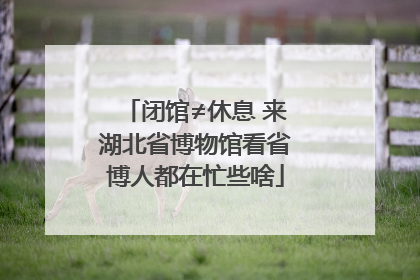 闭馆≠休息 来湖北省博物馆看省博人都在忙些啥