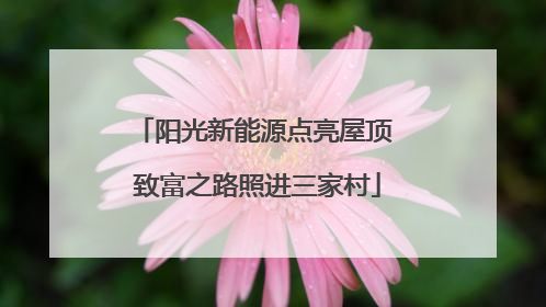 阳光新能源点亮屋顶 致富之路照进三家村