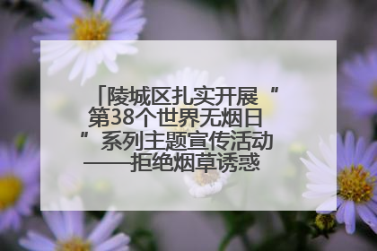 陵城区扎实开展“第38个世界无烟日”系列主题宣传活动——拒绝烟草诱惑 对第一支烟说不