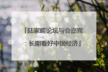 陆家嘴论坛与会嘉宾：长期看好中国经济