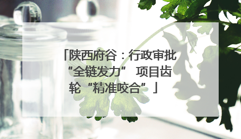 陕西府谷：行政审批“全链发力” 项目齿轮“精准咬合”