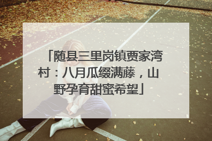 随县三里岗镇贾家湾村：八月瓜缀满藤，山野孕育甜蜜希望