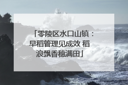 零陵区水口山镇:早稻管理见成效 稻浪飘香穗满田