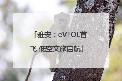 雅安：eVTOL首飞 低空文旅启航