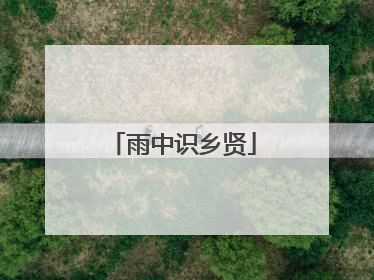 雨中识乡贤