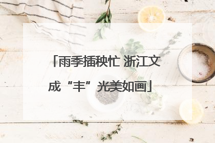 雨季插秧忙 浙江文成“丰”光美如画