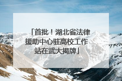 首批！湖北省法律援助中心驻高校工作站在武大揭牌
