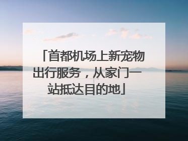 首都机场上新宠物出行服务，从家门一站抵达目的地