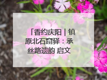香约庆阳｜镇原北石窟驿：承丝路遗韵 启文旅创新篇章