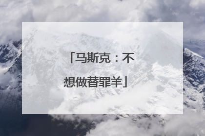 马斯克：不想做替罪羊