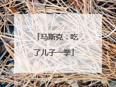 马斯克：吃了儿子一拳