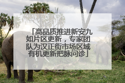 高品质推进新安九如片区更新，专家团队为汉正街市场区域有机更新把脉问诊