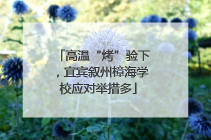 高温“烤”验下，宜宾叙州樟海学校应对举措多