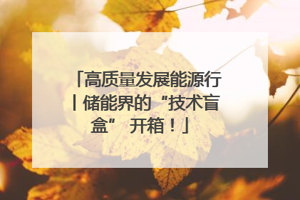 高质量发展能源行丨储能界的“技术盲盒” 开箱！