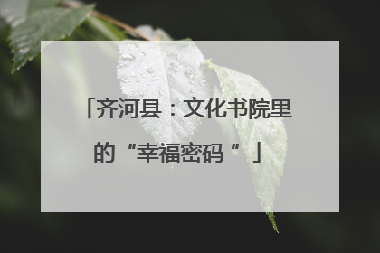 齐河县：文化书院里的“幸福密码 ”