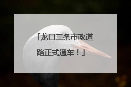 龙口三条市政道路正式通车！
