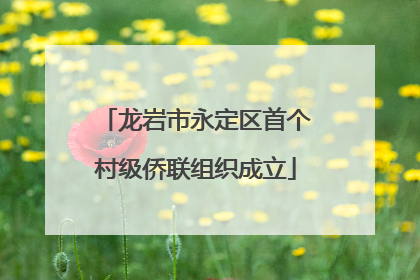 龙岩市永定区首个村级侨联组织成立