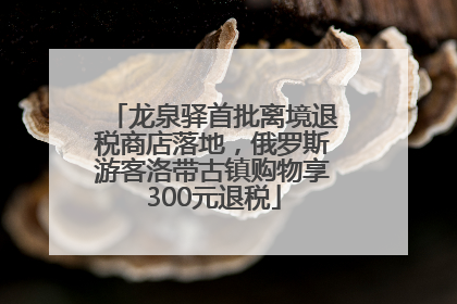 龙泉驿首批离境退税商店落地，俄罗斯游客洛带古镇购物享300元退税