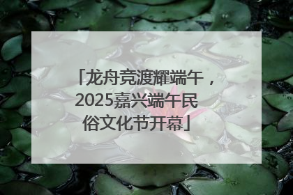 龙舟竞渡耀端午，2025嘉兴端午民俗文化节开幕
