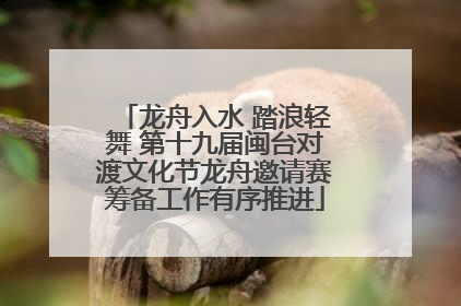 龙舟入水 踏浪轻舞 第十九届闽台对渡文化节龙舟邀请赛筹备工作有序推进