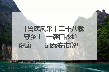 鲁医风采｜二十八载守乡土  一袭白衣护健康——记泰安市岱岳区满庄镇卫生院院长、主任医师张宝喜