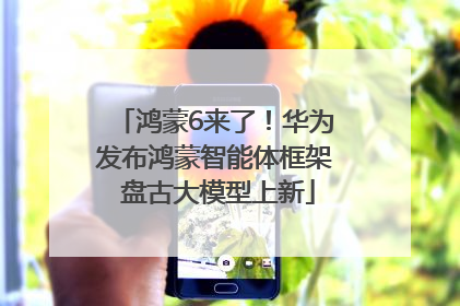 鸿蒙6来了！华为发布鸿蒙智能体框架 盘古大模型上新