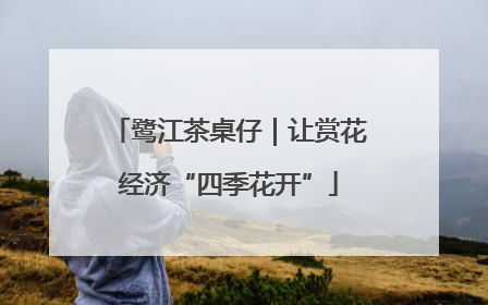 鹭江茶桌仔｜让赏花经济“四季花开”